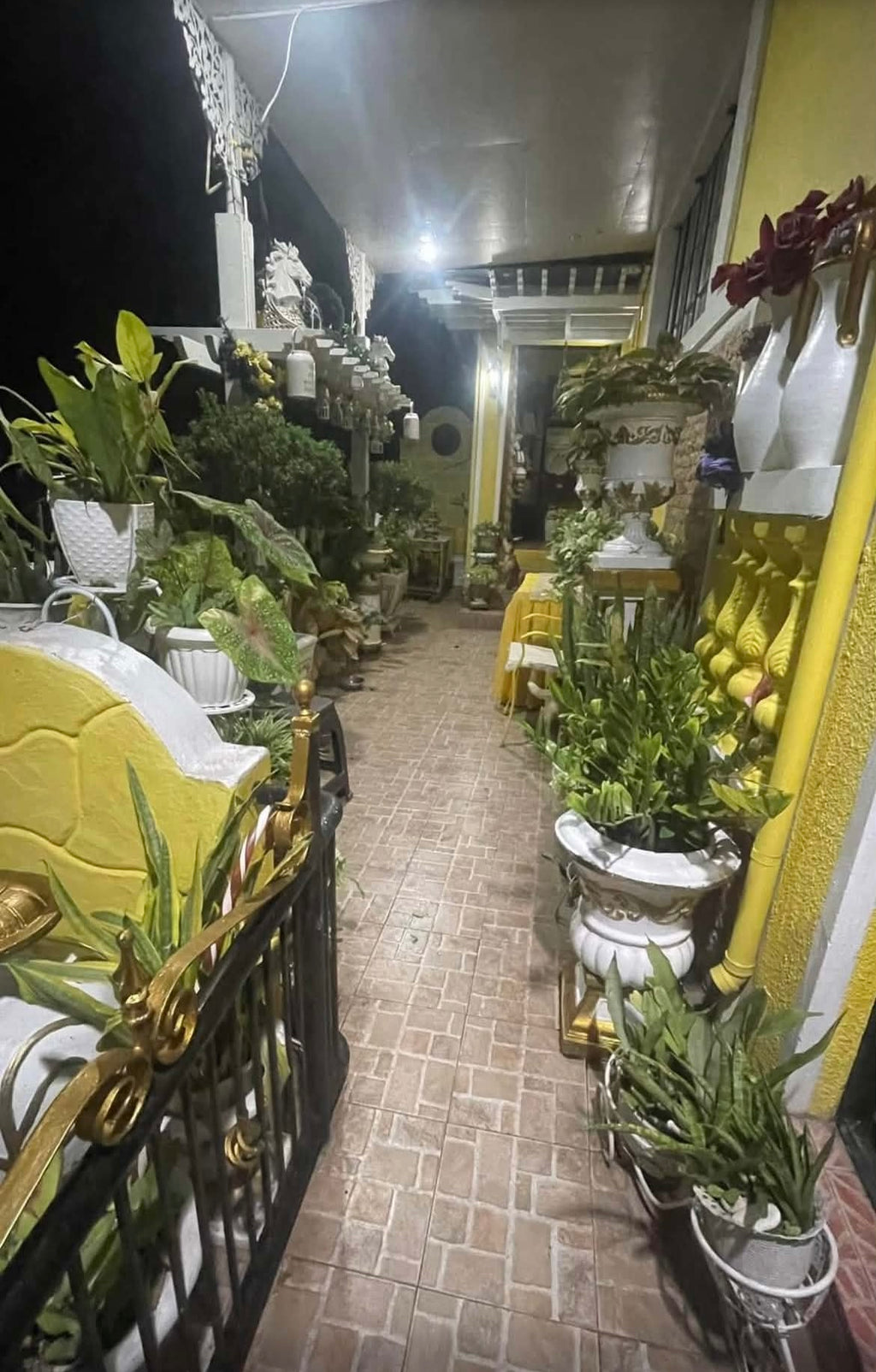 Azienda Firenze, Maghaway, Talisay City, Cebu