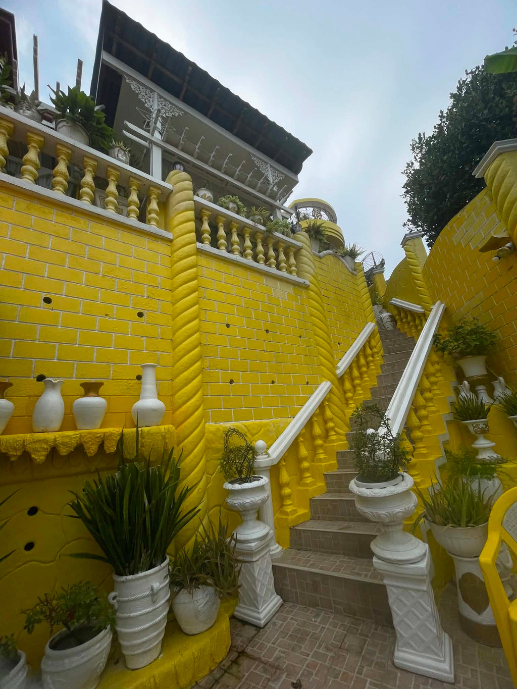Azienda Firenze, Maghaway, Talisay City, Cebu